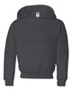 Charcoal Grey - JERZEES 996YR - Size: L