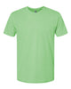 Apple Green - Next Level - Next Level 6210 - Size: 2XL